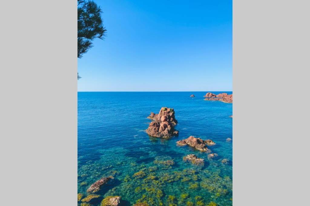 Superbe 4 Couchages Avec Terrasse - Clim - 50M De La Mer Saint-Raphaël Εξωτερικό φωτογραφία