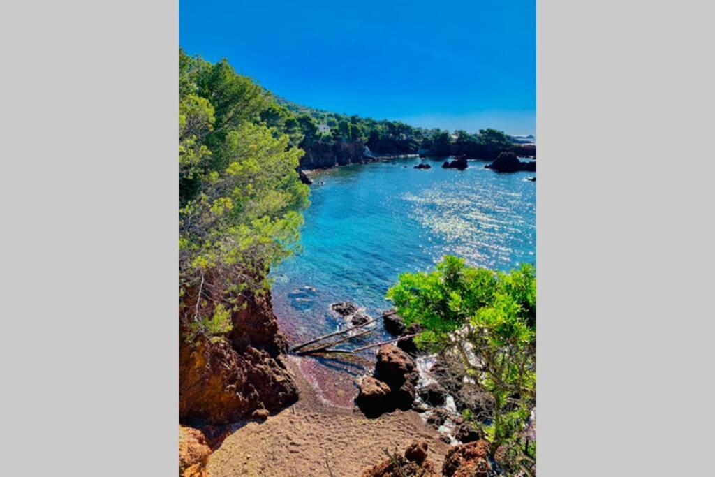 Superbe 4 Couchages Avec Terrasse - Clim - 50M De La Mer Saint-Raphaël Εξωτερικό φωτογραφία