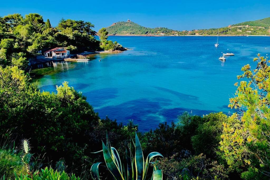 Superbe 4 Couchages Avec Terrasse - Clim - 50M De La Mer Saint-Raphaël Εξωτερικό φωτογραφία