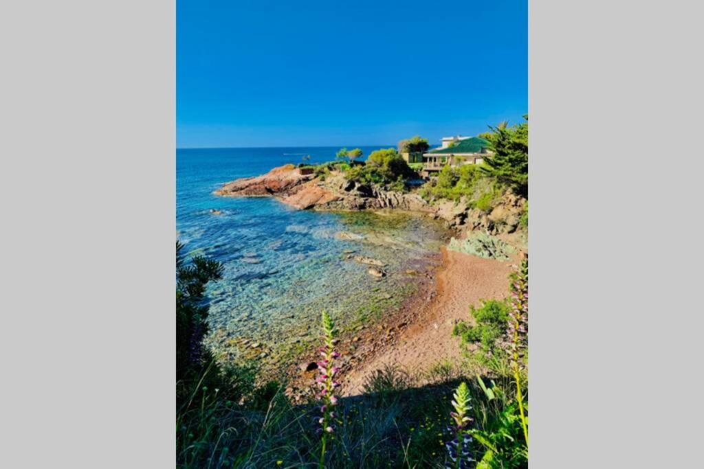 Superbe 4 Couchages Avec Terrasse - Clim - 50M De La Mer Saint-Raphaël Εξωτερικό φωτογραφία
