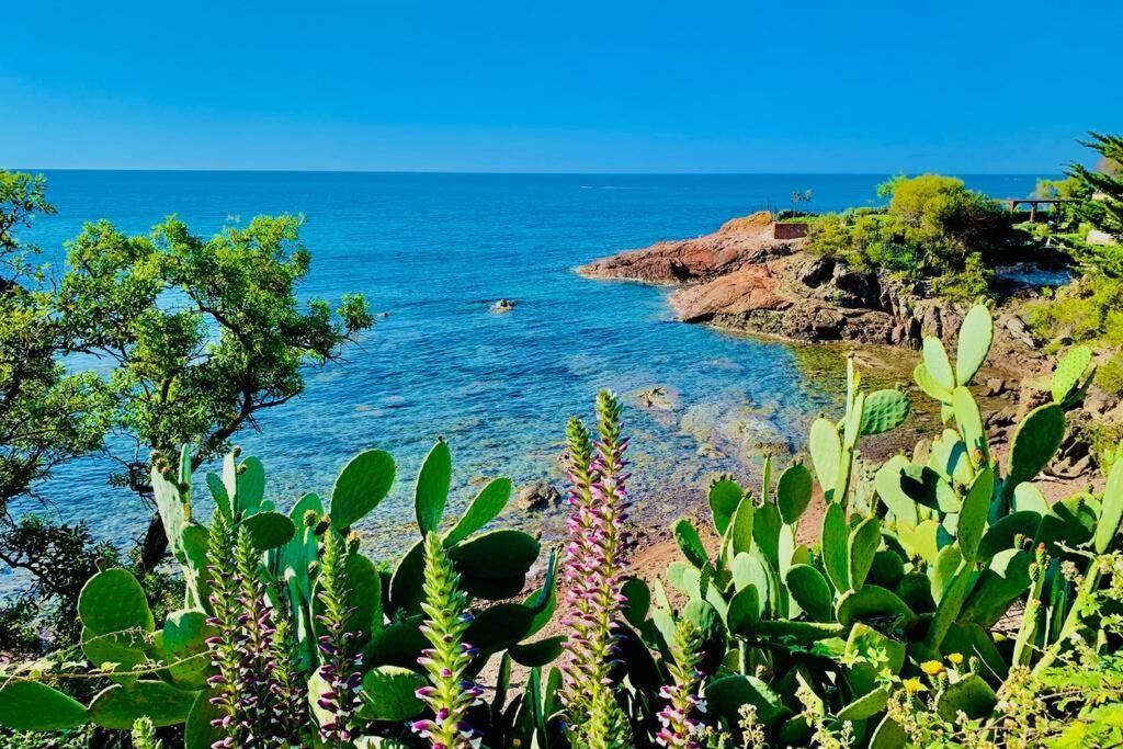 Superbe 4 Couchages Avec Terrasse - Clim - 50M De La Mer Saint-Raphaël Εξωτερικό φωτογραφία
